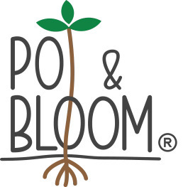 Pot & Bloom